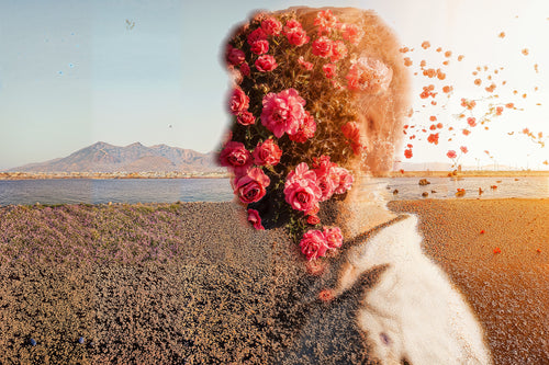 Face Full of Roses, AI-generative artwork from MLow's Tokenized Garbage series, hand-finished fine art print